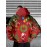 Mens Plus Size Relaxed Hooded 3D Print Sweatshirt | Santa Reindeer Snow Design, Trendy Street Fashion, Bright Colors, Perfect for Autumn Winter